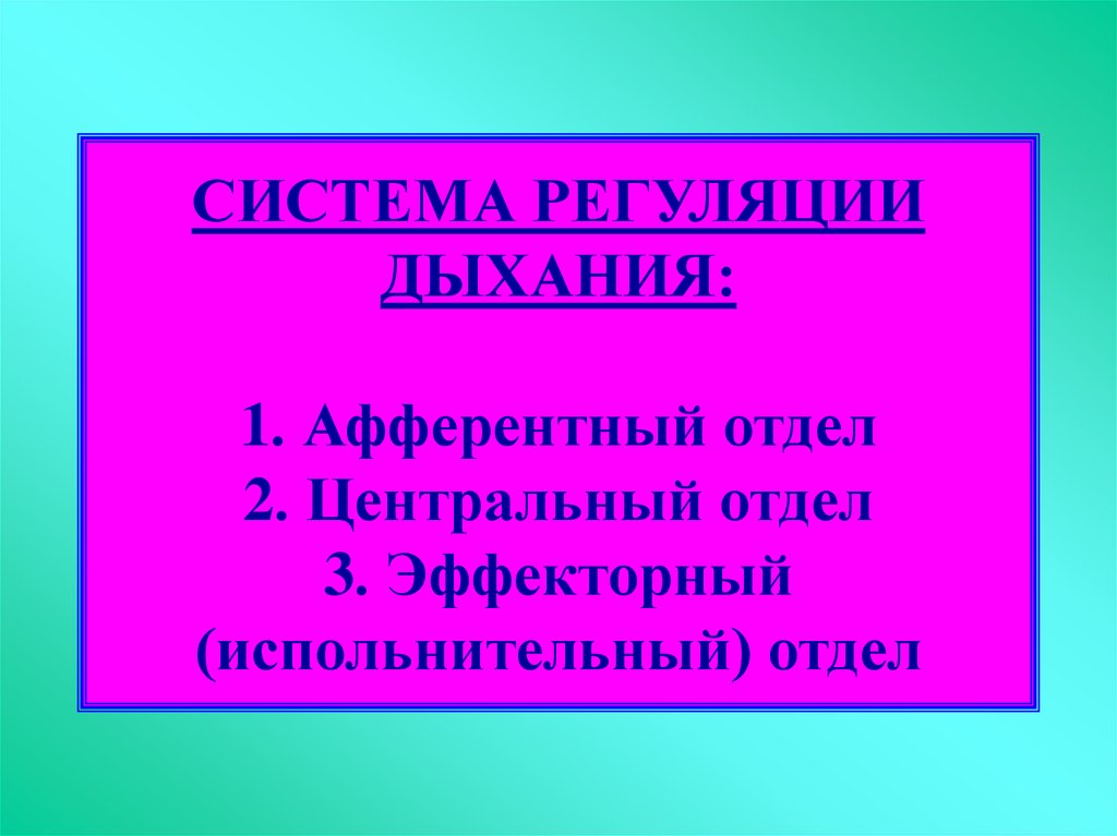 Система регуляции. Корригирующие механизмы регуляции. Кук это физиология дыхания.