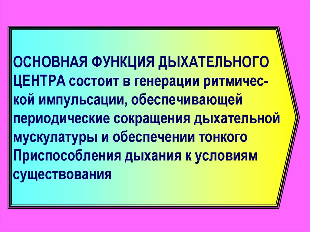 Дыхательный центр. 1. Бульбарный отдел. 2. Скопления нейронов в передних рогах III и IV сегментов спинного мозга. 3. Скопления