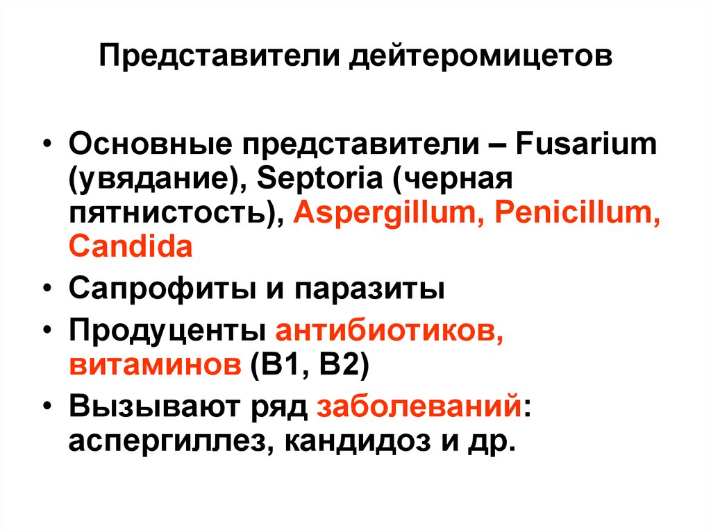 Основные представители. Характеристика грибов класса дейтеромицеты. Дейтеромицеты представители. Основные представители дейтеромицетов. Дейтеромикоты представители.