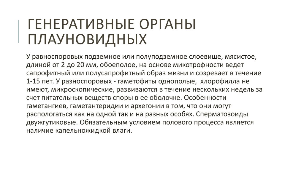 Генеративные органы плауновидных