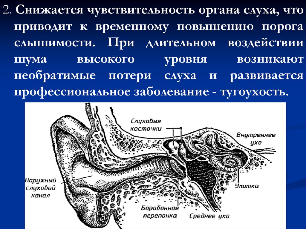 Слуховые пороги