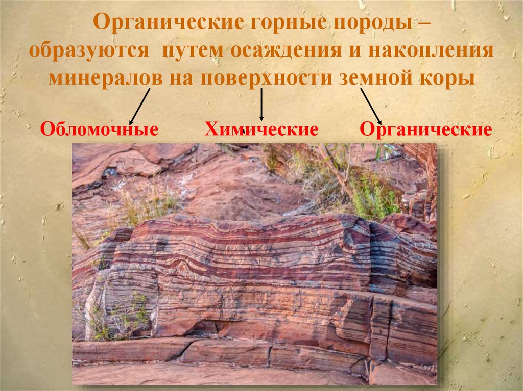 Толщи пород. Органические горные породы. Органические горные породы образуются. Горные породы презентация. Поверхностная Горная порода.