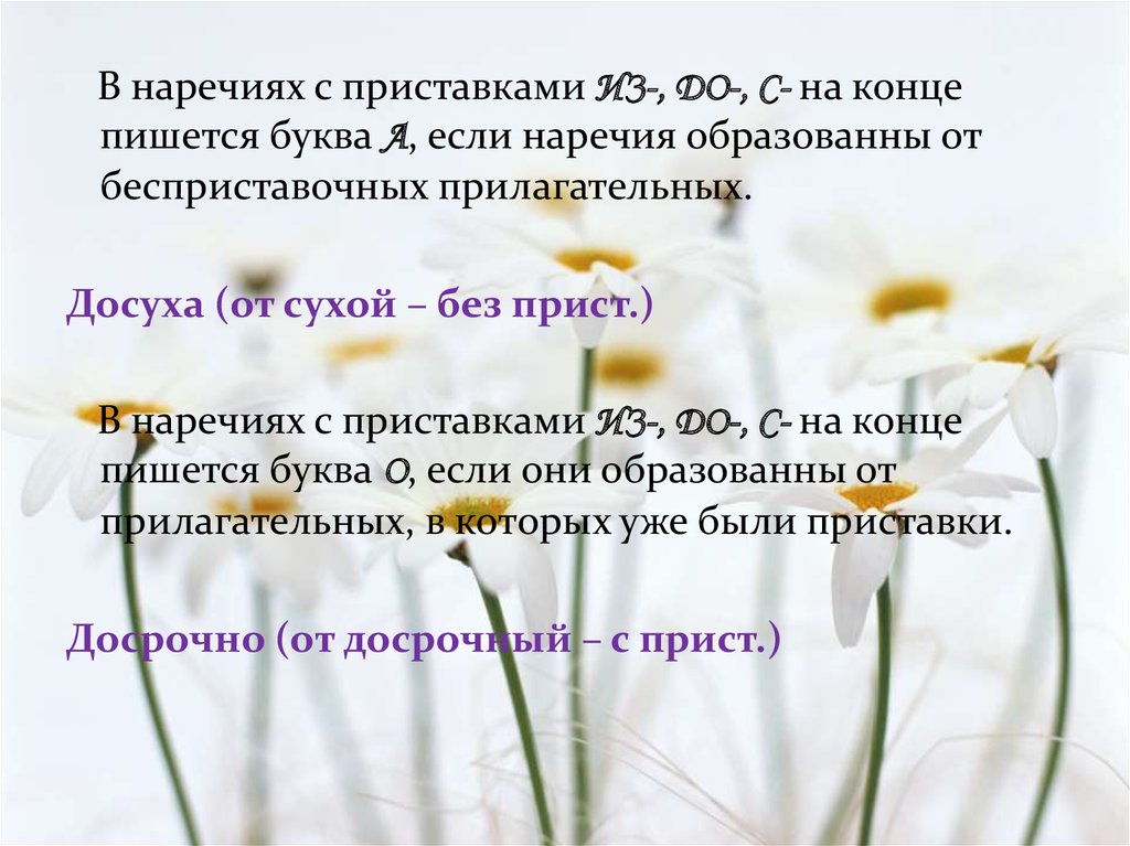 В конце как пишется. Наречия образованные от бесприставочных прилагательных. Досуха прилагательное. Что пишется в конце презентации. Досуха как пишется.