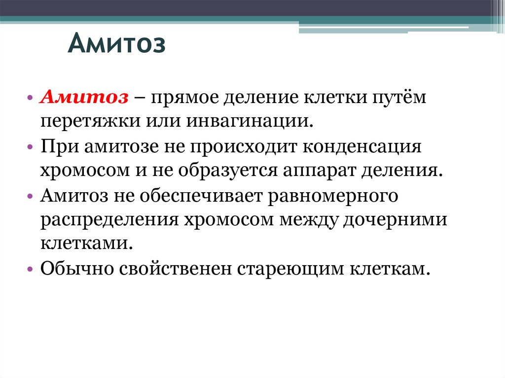 Деление клеток обеспечивает. Амитоз. Амитоз прямое деление клетки. Амитоз прямое деление клетки путем перетяжки. Амитоз или прямое деление.