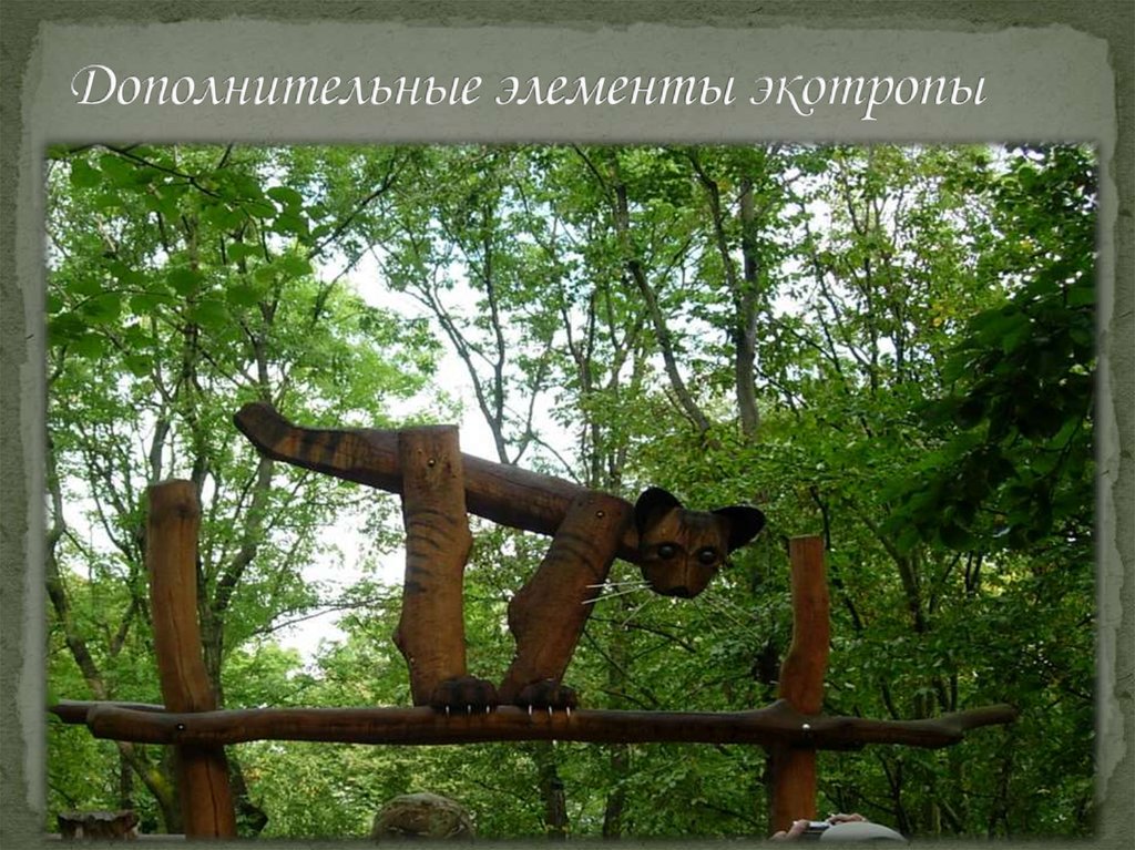 Дополнительные элементы экотропы