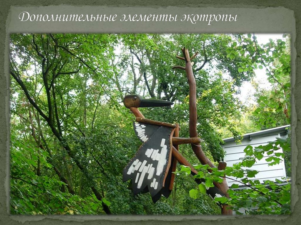 Дополнительные элементы экотропы