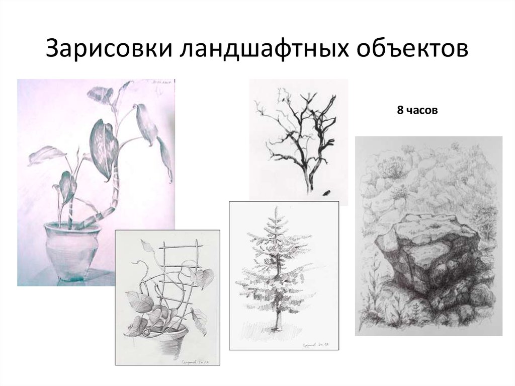 Вид работы рисунка