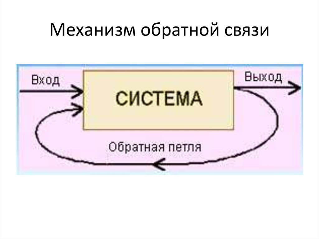 Схема механизма обратной связи