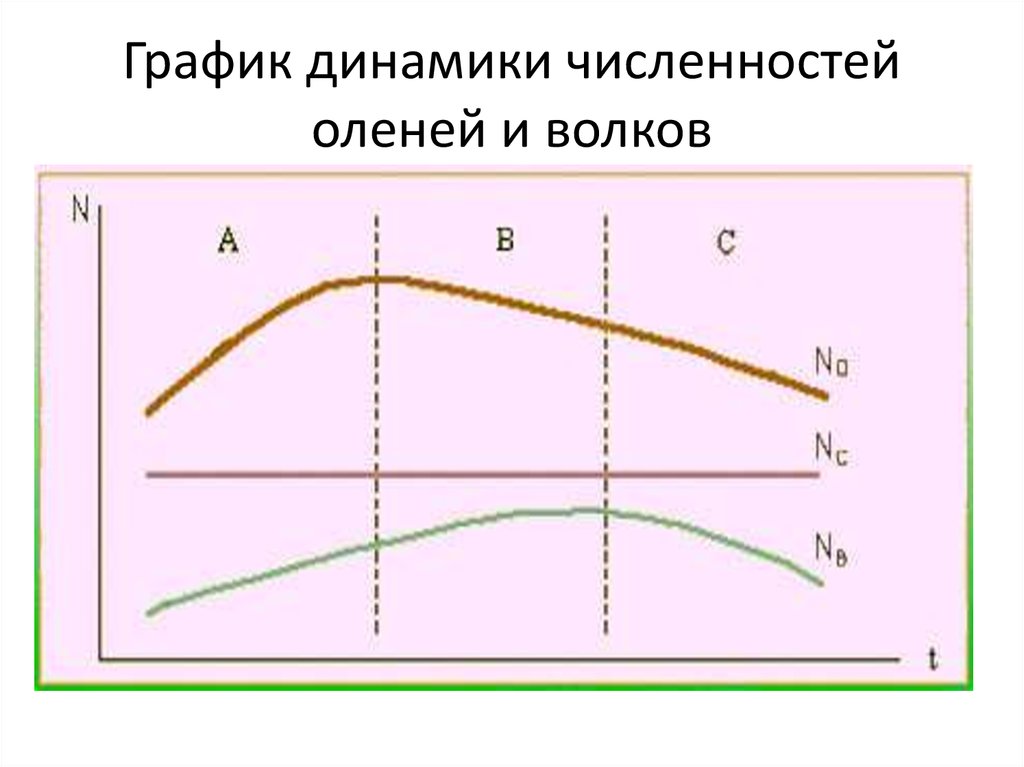 График динамики численностей оленей и волков
