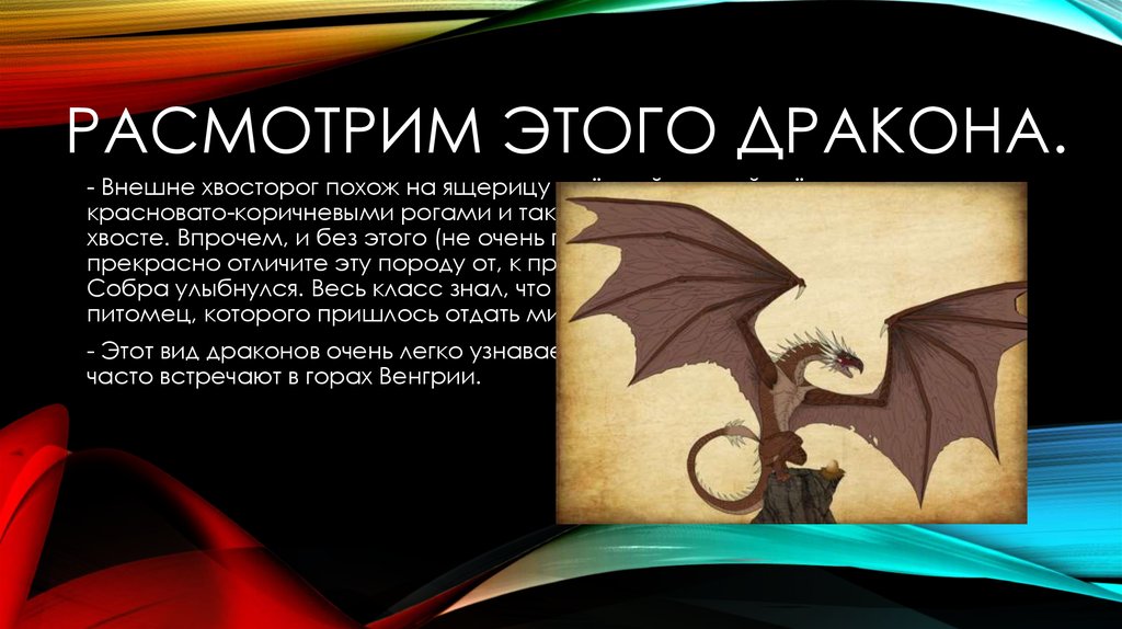 Расмотрим этого дракона.