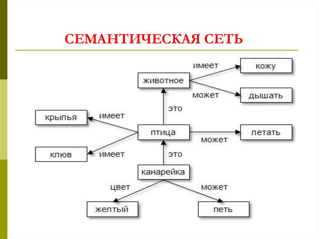 Придумайте сами пример объектов отношения между которыми можно представить с помощью схемы