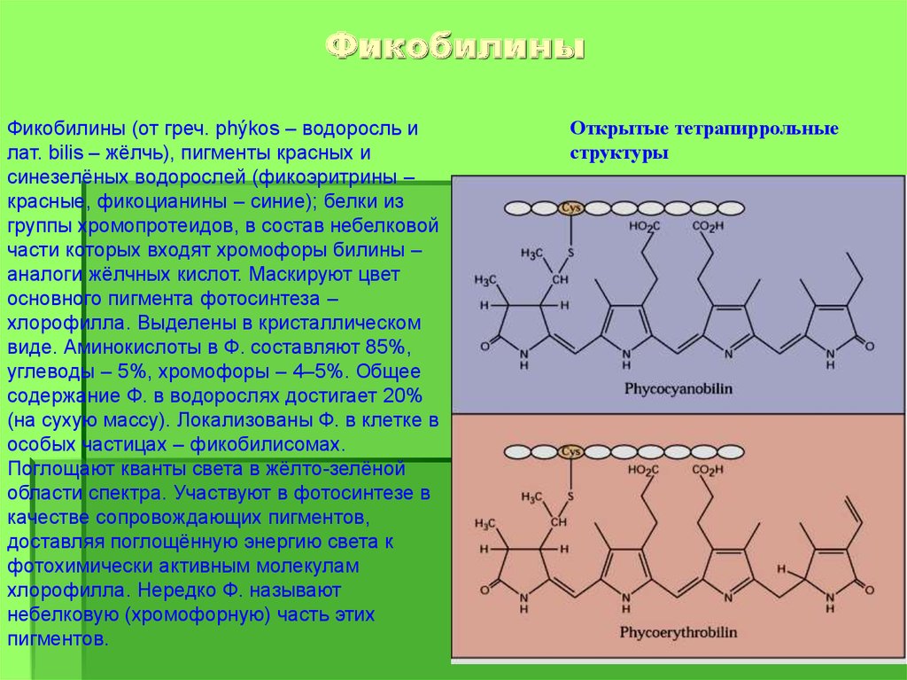 Пигмент участвовавший в фотосинтезе. Фикобилины. Фикобилины строение. Пигменты фикобилины. Хлорофилл каротиноиды и фикобилины.