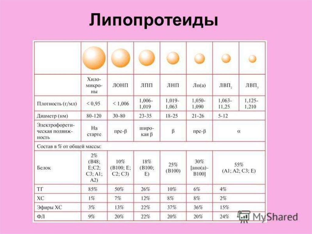 Нормальный б. Бета липопротеиды норма. Бета липопротеиды норма у детей. Нормы липопротеидов в крови. Характеристика липопротеидов.