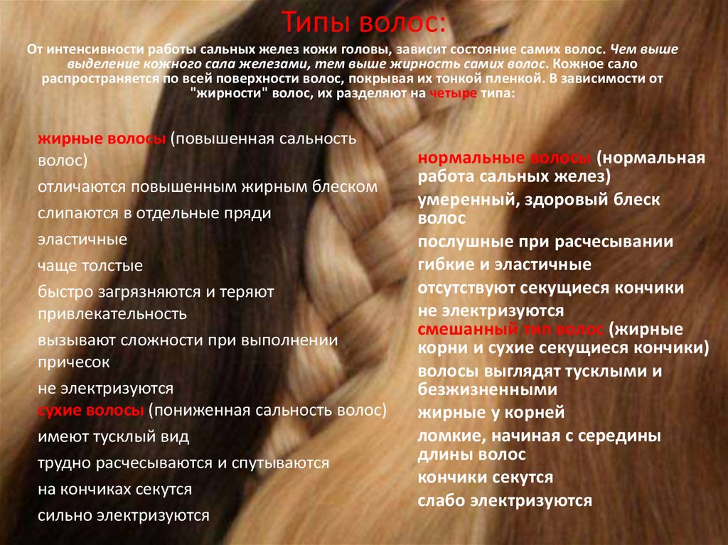 Перечислите правила ухода за волосами. Типы волос. Типы волос и их характеристика. Какие бывают волосы по структуре. Разные структуры волос.