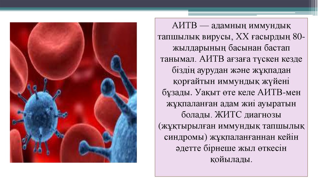 Аитв инфекциясы презентация