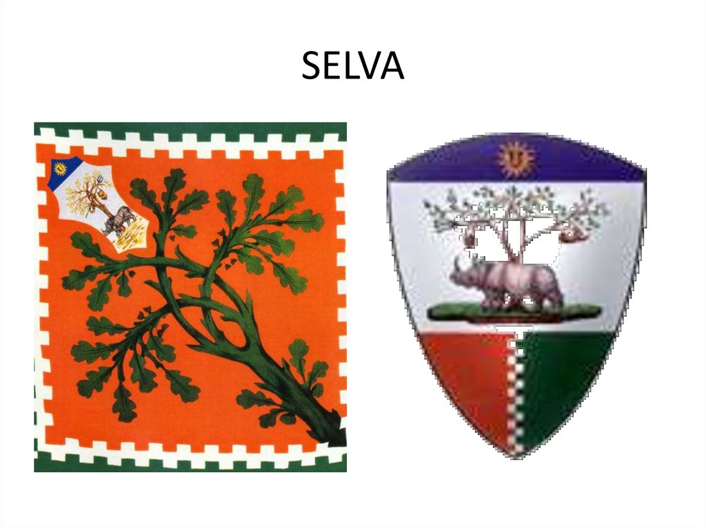 SELVA