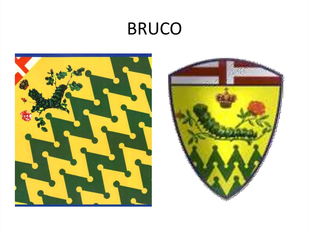 BRUCO