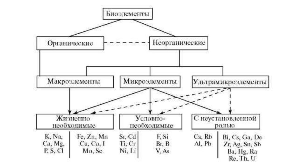 Элементарный состав живого