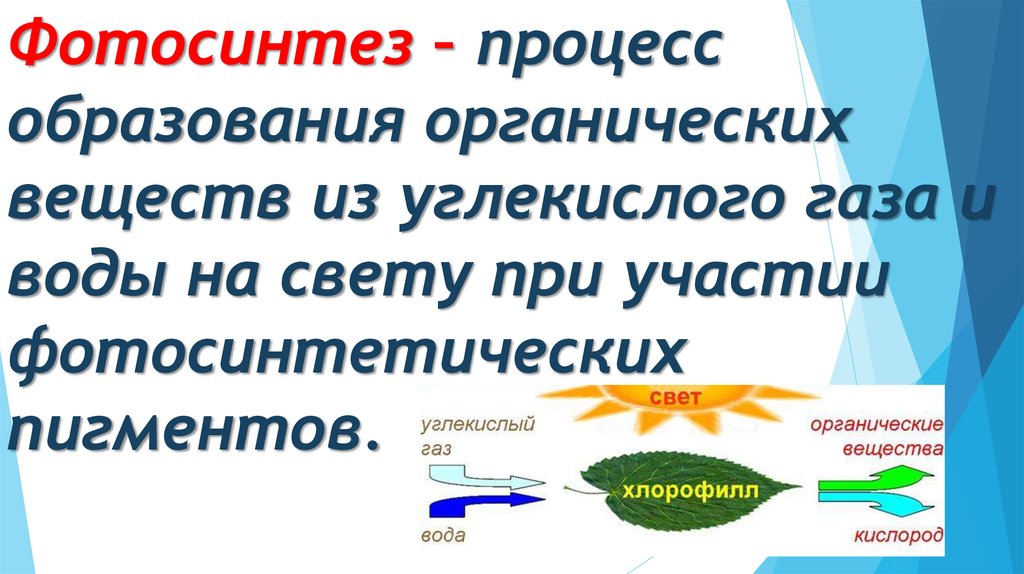 Образование органических веществ в воде. Образуется или разрушается органическое вещество фотосинтез. Образуется или разрушается органическое вещество при фотосинтезе. Расщепление органических веществ до углекислого газа и воды. Фотосинтез разлагает или образовывает органические вещества.