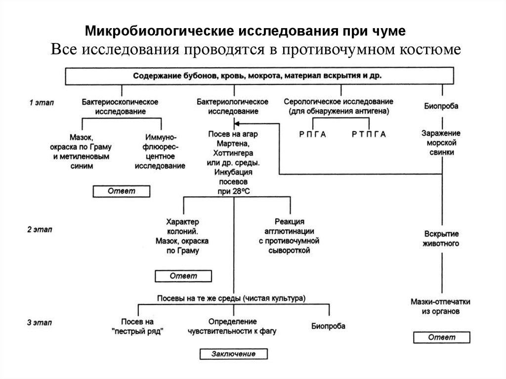 Схема микробиологического исследования