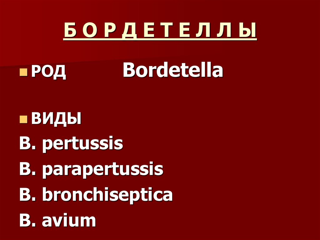 Бордетелла. Виды бордетелл. Бордетеллы таксономия. Bordetella виды. Бордетеллы семейство род.