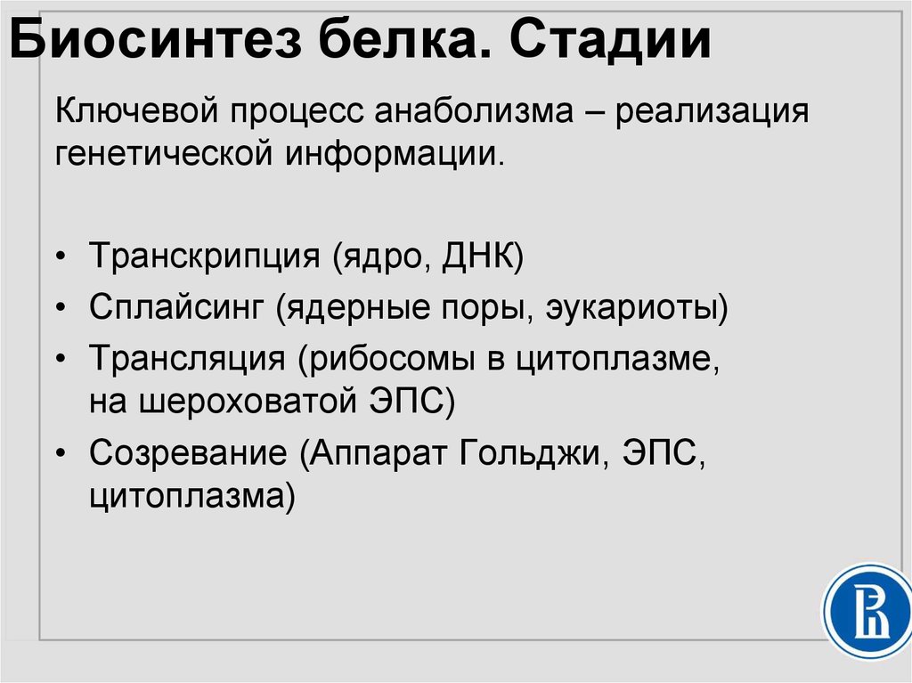 Ядра транскрипция. Этапы биосинтеза белка. Основные этапы биосинтеза белка. Стадии белка. Этапы синтеза белка таблица.