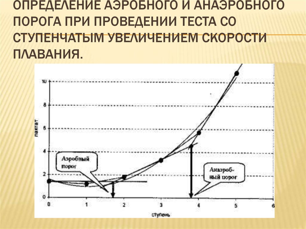 Аэробные определение