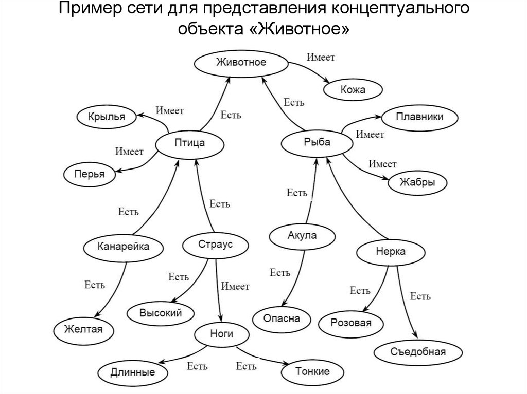 Пример сети для представления концептуального объекта «Животное»