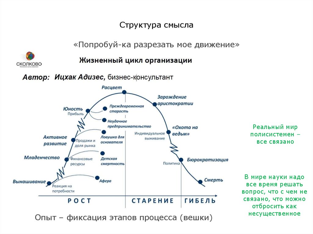 Структура смысла. Ицхак Адизес жизненный цикл. Структура смысла жизни. Структурирование жизни.