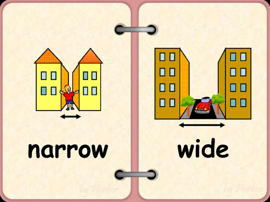 Narrow. Wide narrow opposites. Narrow wide for Kids. Narrow картинки для детей. Opposites картинки для детей.