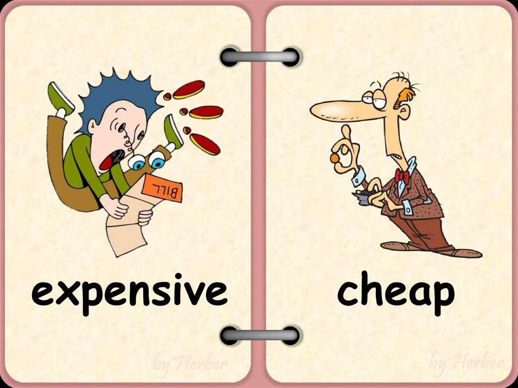 Correct opposite. Opposites. Kind opposite. Opposite adjectives expensive. Cheap expensive картинки для детей.