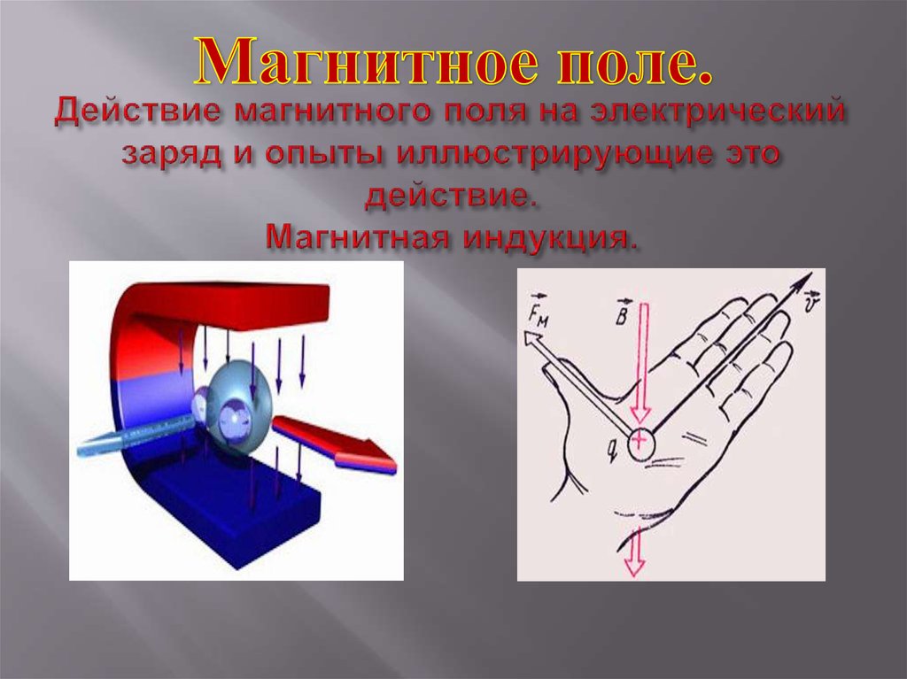 Сканер магнитного поля как работает