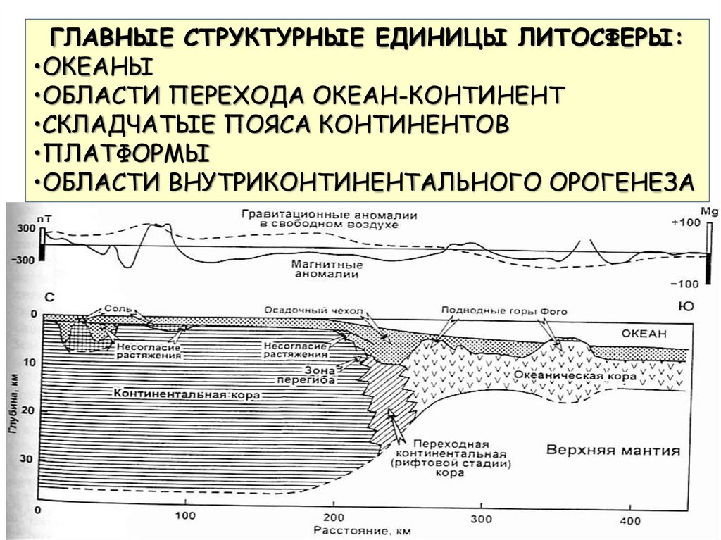 Структурные элементы коры