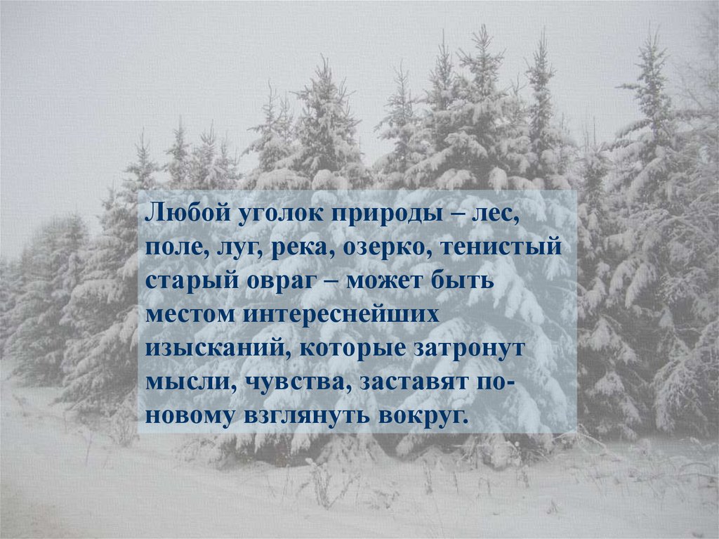 6 класс сочинение мой любимый уголок природы. Мой любимый уголок природы сочинение. Сочинение на тему мой любимый уголок. Сочинение уголок природы. Описание любимого уголка природы.