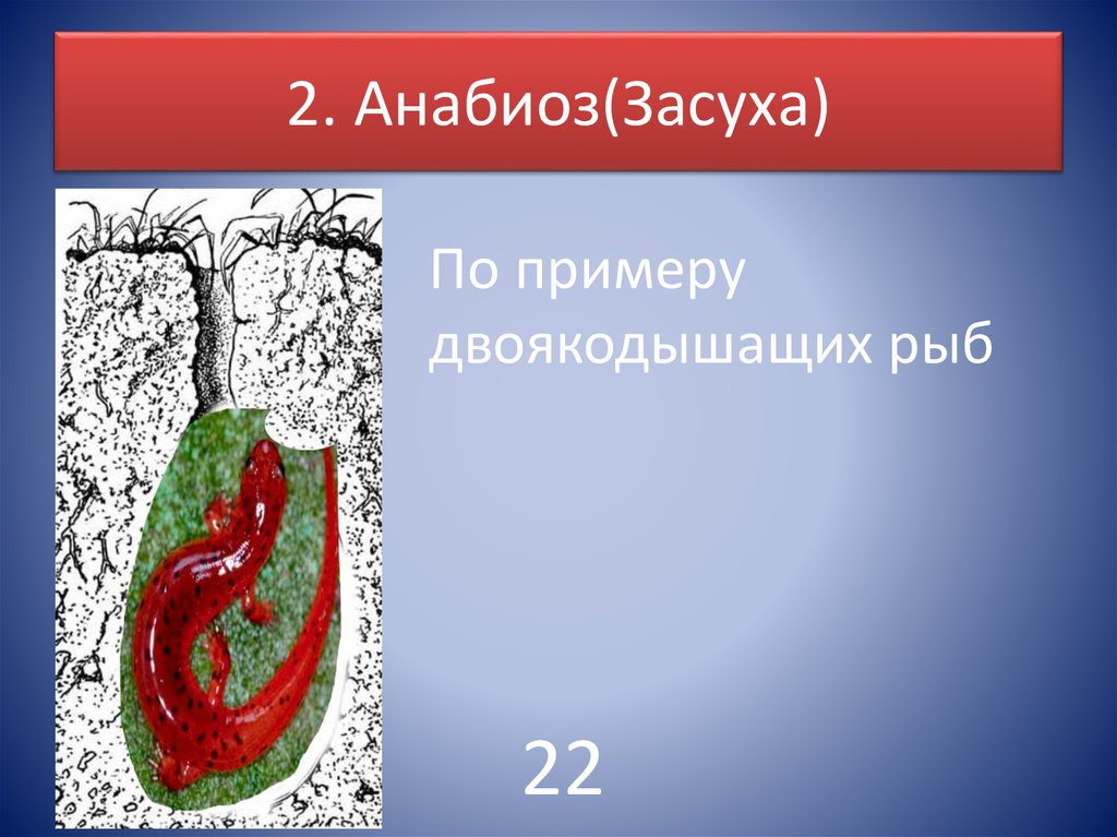 2. Анабиоз(Засуха)