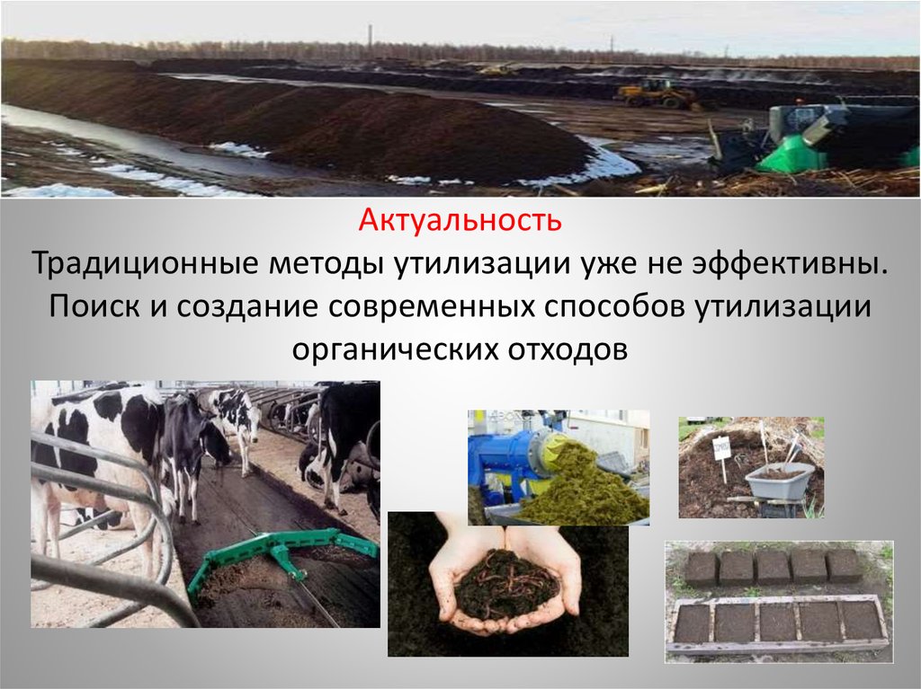 Актуальность Традиционные методы утилизации уже не эффективны. Поиск и создание современных способов утилизации органических
