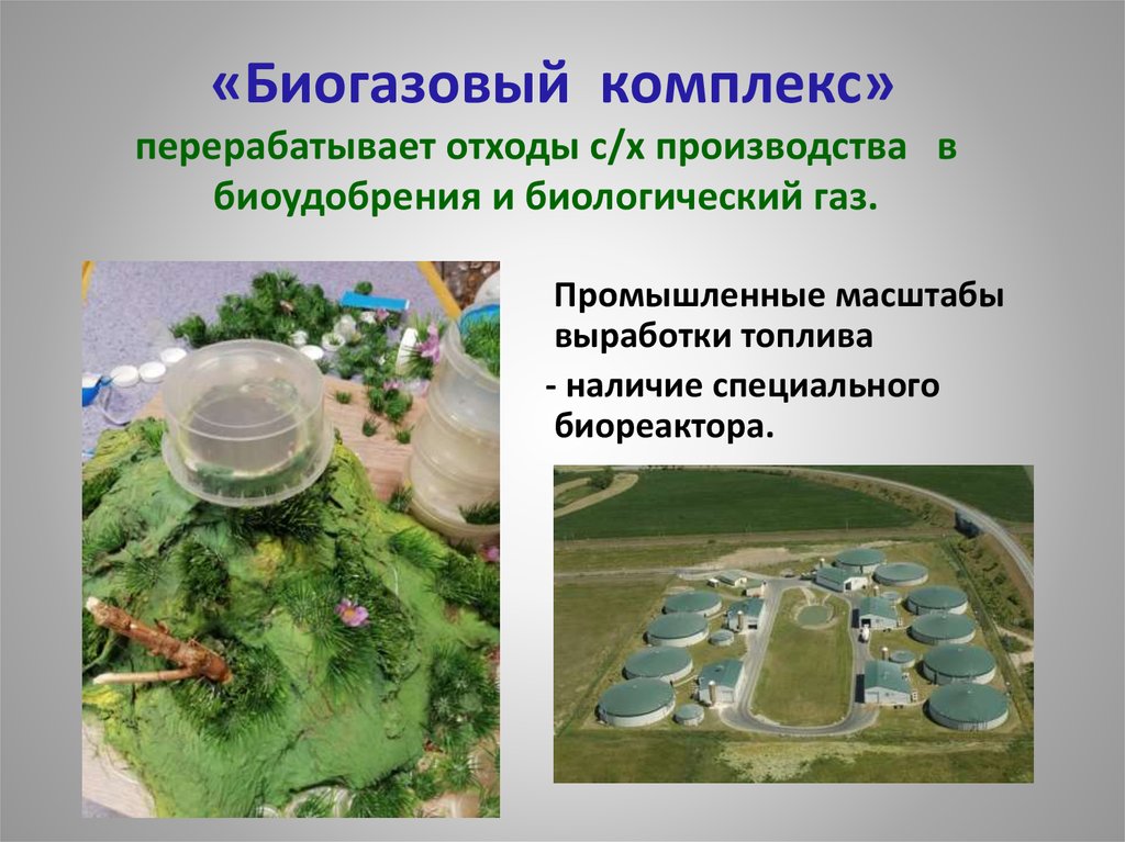 «Биогазовый комплекс» перерабатывает отходы с/х производства в биоудобрения и биологический газ.
