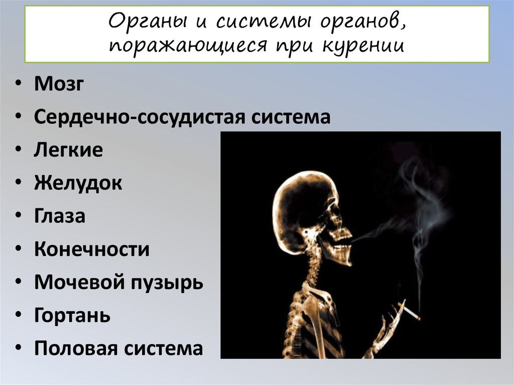 Заболевание курящих людей. Поражение органов при курении. Поражающие факторы курения. Органы человека курильщика. Последствия курения презентация.