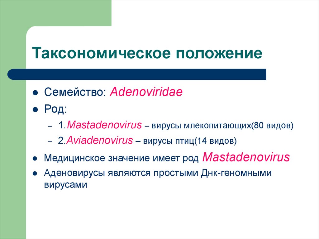 Таксономический