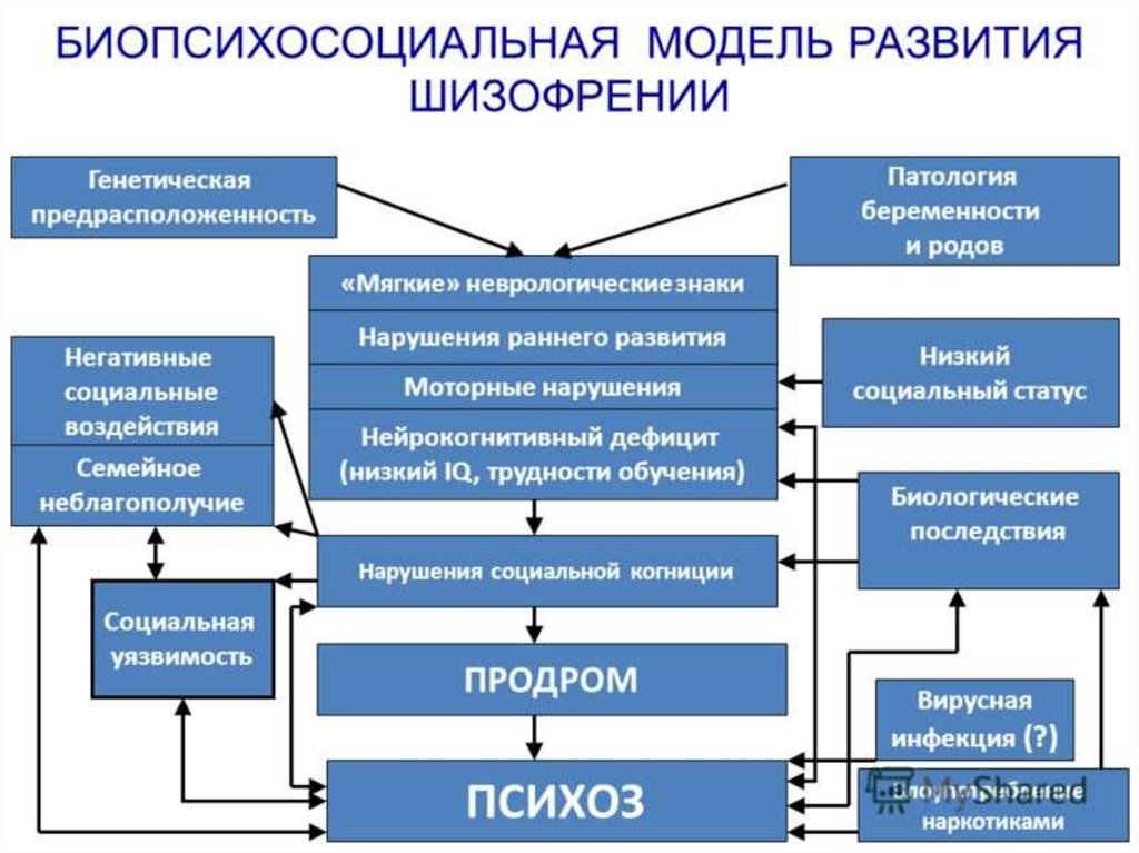 Генетика шизофрении презентация