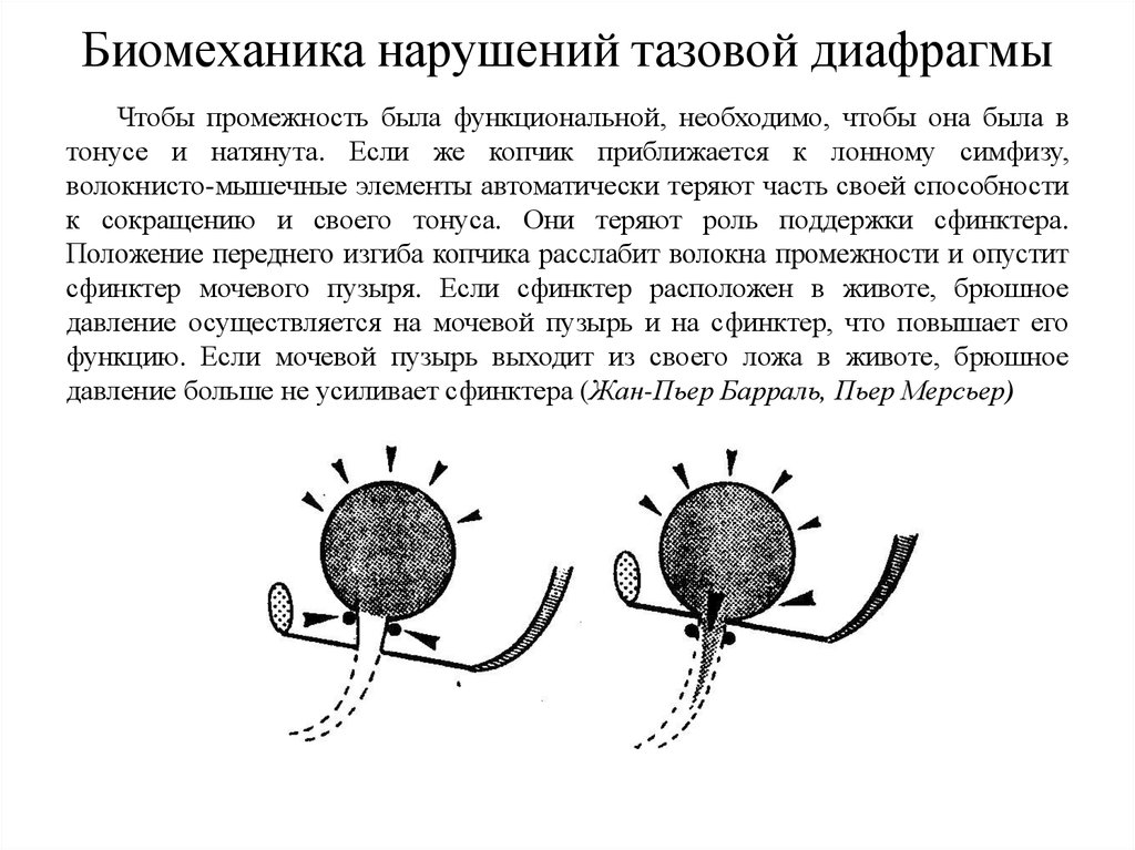 Мочевой пузырь у мужчины форум