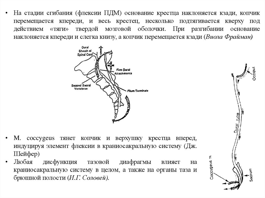 Перелом копчика карта вызова