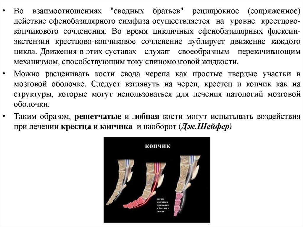 Карта вызова перелом копчика