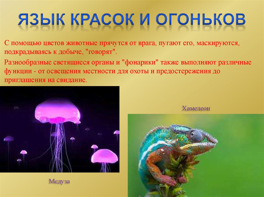 Язык красок