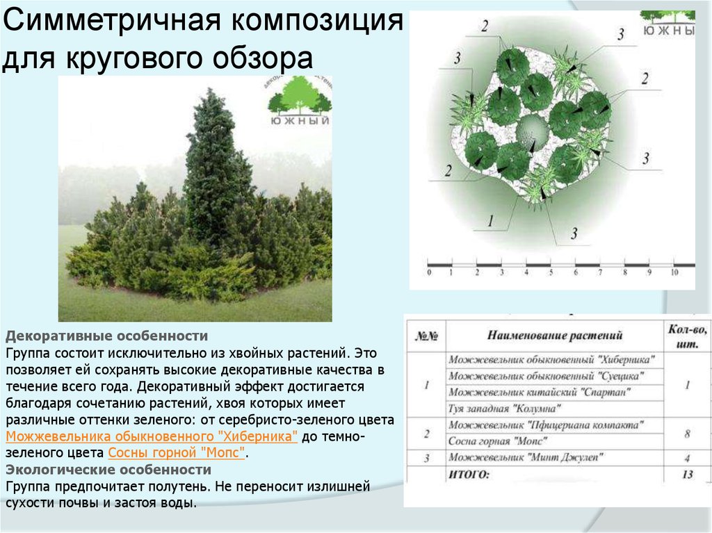 Композиция из деревьев и кустарников схема