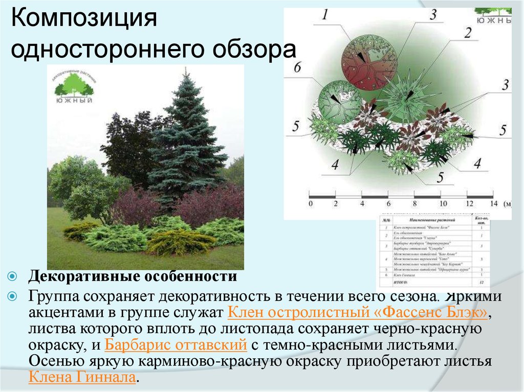 основе соседствующих растений одностороннем