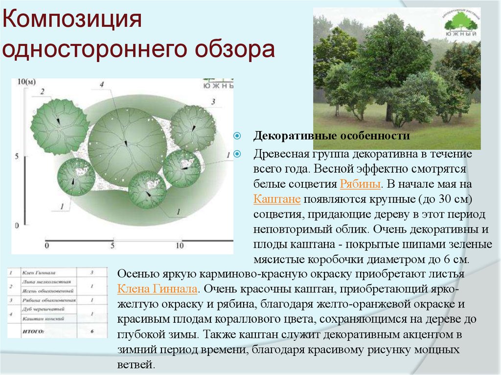 основе соседствующих растений одностороннем