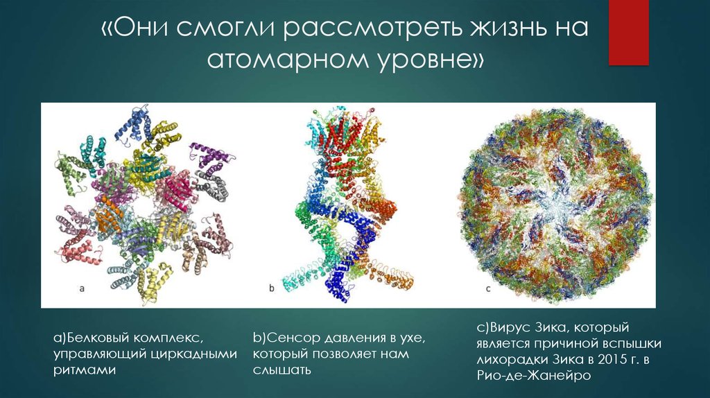 «Они смогли рассмотреть жизнь на атомарном уровне»