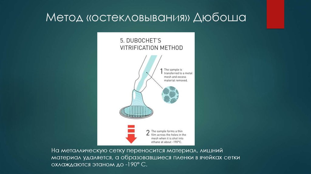 Метод «остекловывания» Дюбоша