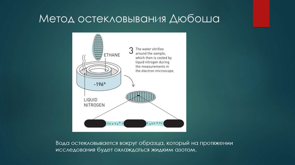 Метод остекловывания Дюбоша
